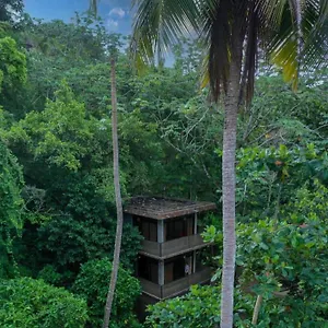 Taino Lofts El Valle